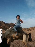 ��� ������� ������