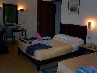 � ������ - �������