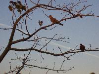 ���������� ������