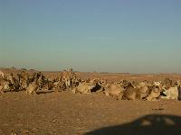 �� ������