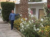 ��� �����