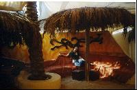 ����� ��� - �������