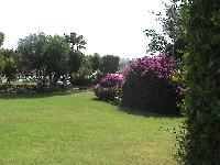 ������ ��������