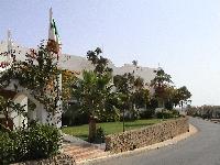 ������ ������