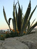 � �� ������ ������ �������...