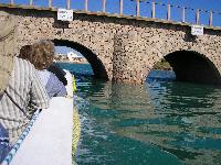 ��� ����