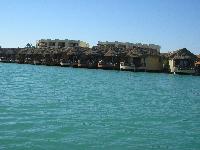 ��� ����