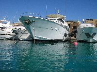 ��� ����