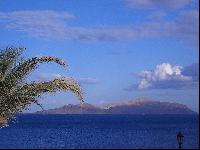 ����� ��� �����