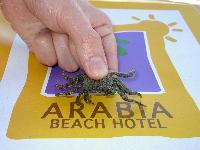 ���������� ������� ����� ;)