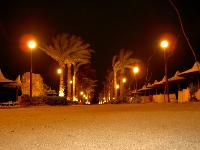 ������. ��� �����.