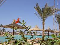 ������. ��� �� �����.