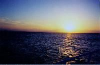 �� ������� ����.