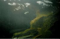 ������..