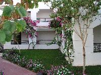 ������ �����