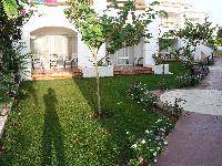 � � ������ ������ ���������. ������