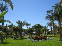 ������_���