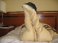 ���������� ������� ����