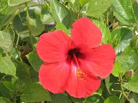 ������ ������� :)