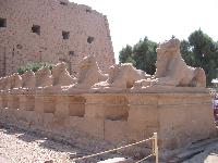 ���������� ����