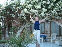 ����� �������� ������� �� ������� �������