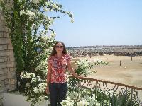 ���� �� ������ ������ �������������� ������ (��� �� ���� ��� ����, ������ ����)