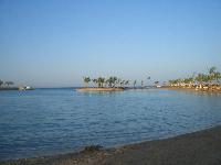 ���� ���������