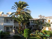 ������ ������ �