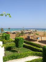 ���� ����