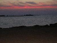 ���� ����