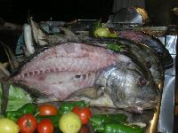 ���� � ������ ���� (���)