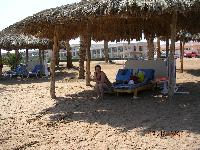 ���� ����