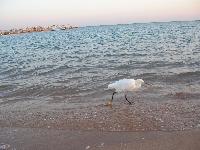 ���� ����