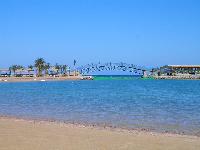 ������.����� Desert Rose