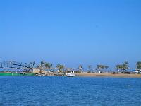 ������ 2. ����� Desert Rose