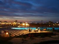 �����.����� Desert Rose.