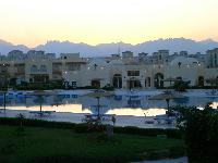 ����� 2.����� Desert Rose.