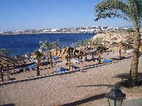 ���� �����