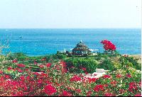 �� ���� ������ ��������