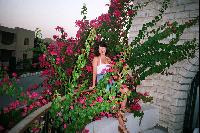 ������ � ������ ������������ �������