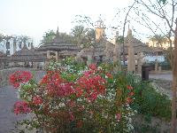 �� ���� � ���� � ������....