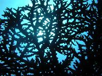 ���� � ��������