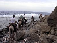 � "���������" ����� �������� �� �����