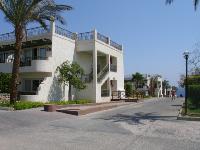 ����� �������