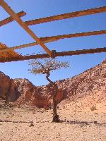 ������� ������