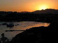 �����. ��� �� Shark Bay