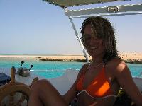 ������������ �. �����