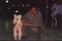 ������� - ���� 011 - ����� � ������� ����, �� � ��� ������ �� ����� ������ :)