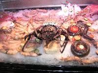 ����-��������