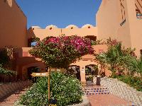 ���� ����� ���������